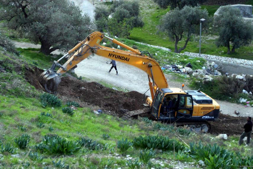 الاحتلال يجرّف أراضي زراعية في أريحا ويقتلع 400 شتلة نخيل