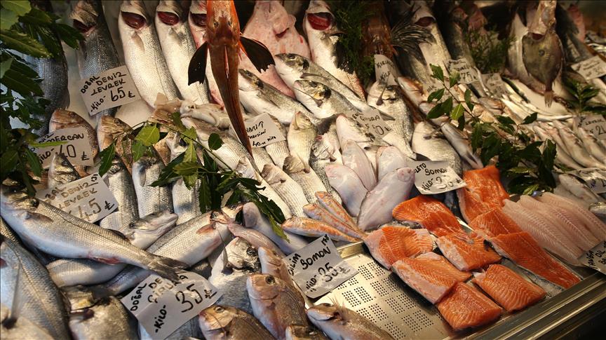 قطر تطلق أول مشروع لاستزراع الأسماك