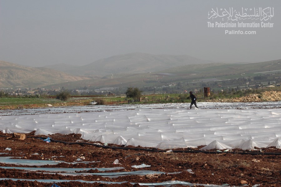 المزراعون الفلسطينيون في الأغوار الشمالية يستعدون لموسم زراعي جديد