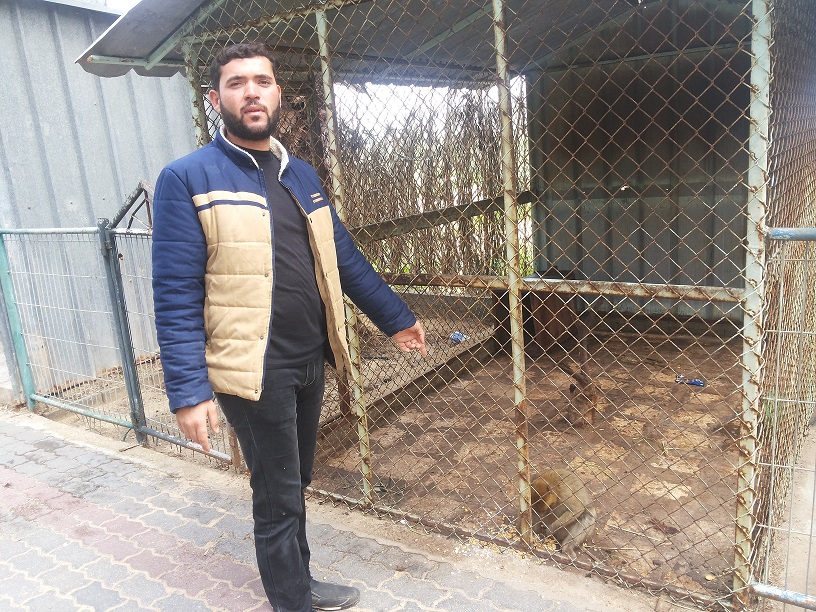 في خان يونس.. حديقة حيوان ميّتة!