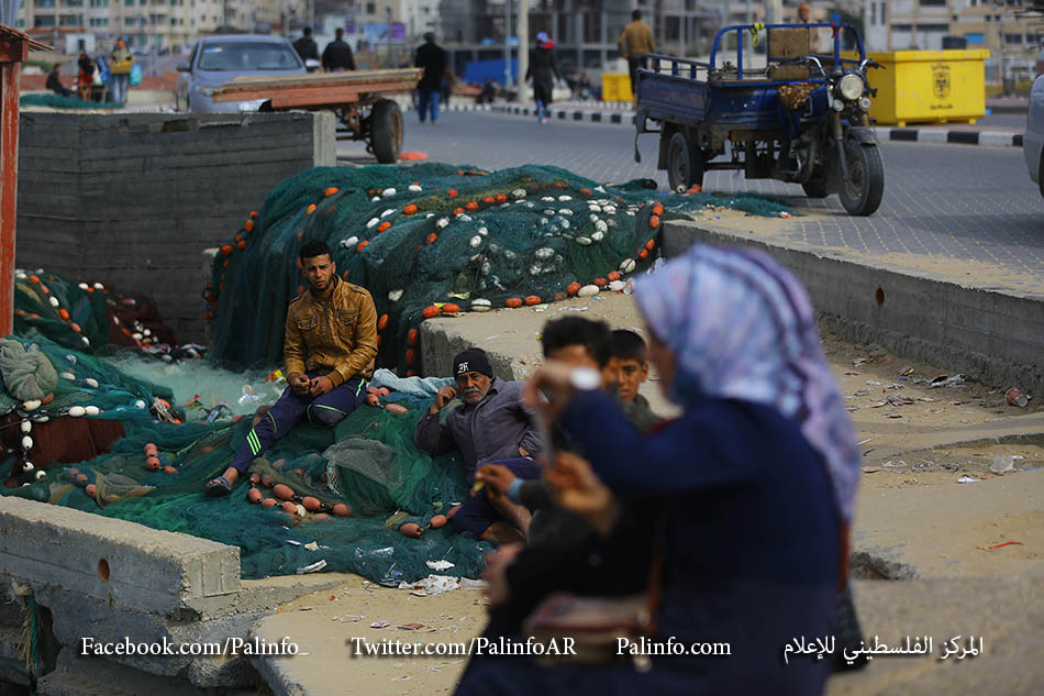 ميناء غزة.. الصيادون يزينون قواربهم بعلم فلسطين