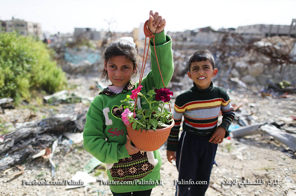 أطفال من غزة يزرعون الزهور فوق ركام الحرب