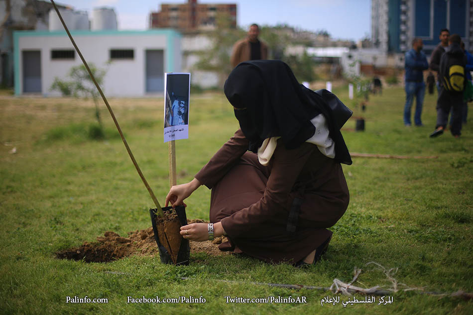 الصحفيون الشهداء يشمخون أشجارا في غزة
