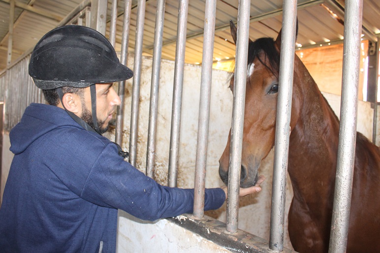 رغم الحصار.. غزة تتألق بجمال الخيول
