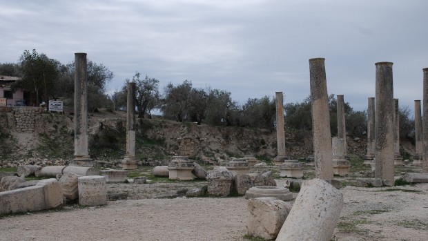 الاحتلال يغلق منطقة سبسطية الأثرية لإدخال المستوطنين إليها
