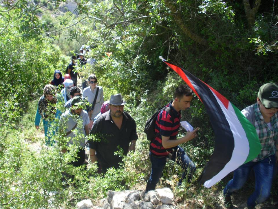 التنوّع الحيويّ في فلسطين.. متحف طبيعي ينهبه الاحتلال