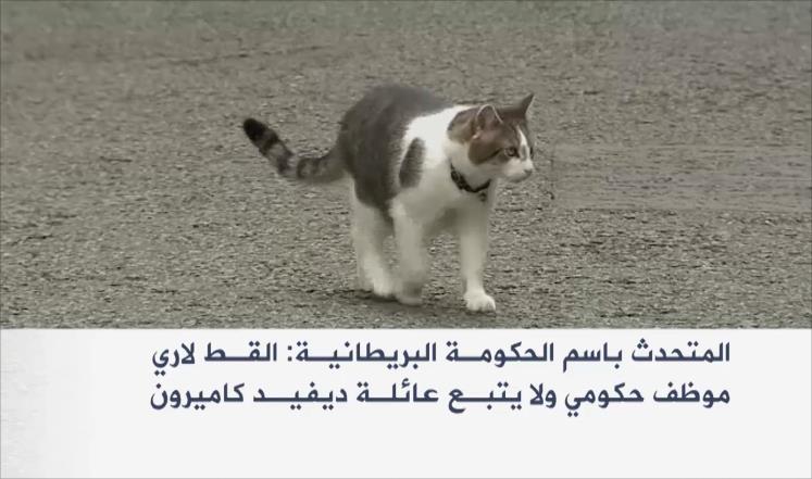 صائد الفئران يحتفظ بوظيفته بعد رحيل كاميرون