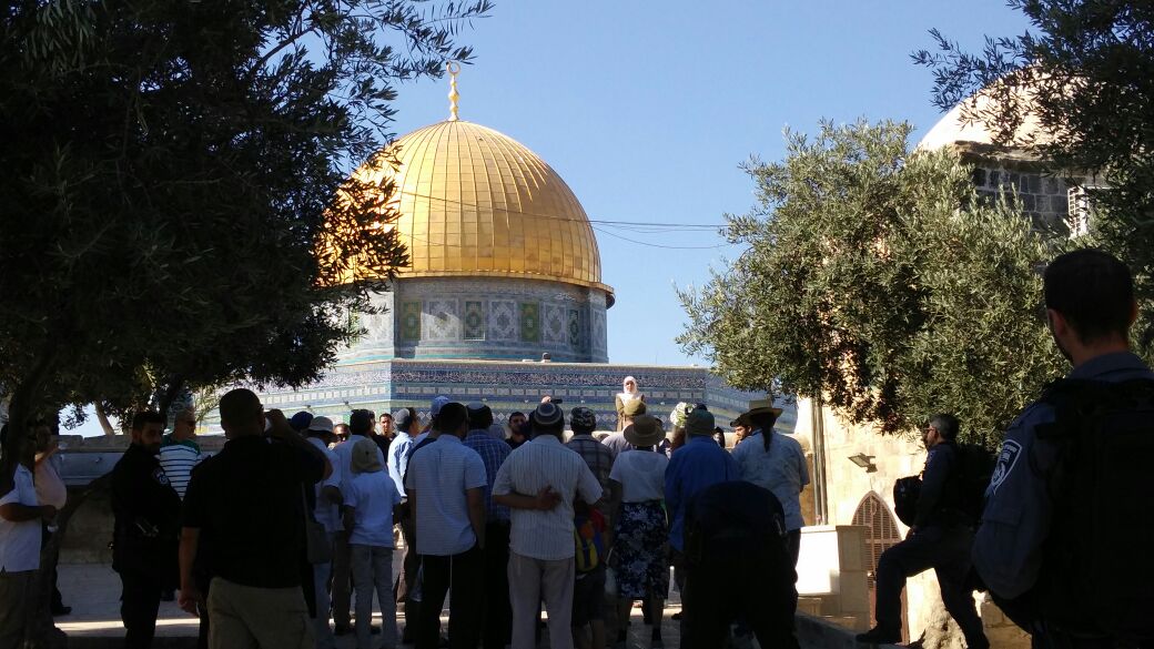 معاريف: علمانيون يهود يطالبون بإقامة الهيكل على أنقاض الأقصى