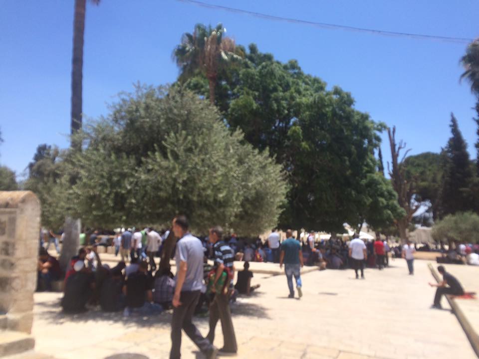 في رحاب المسجد الأقصى.. صلاة الجمعة الأولى بعد رمضان