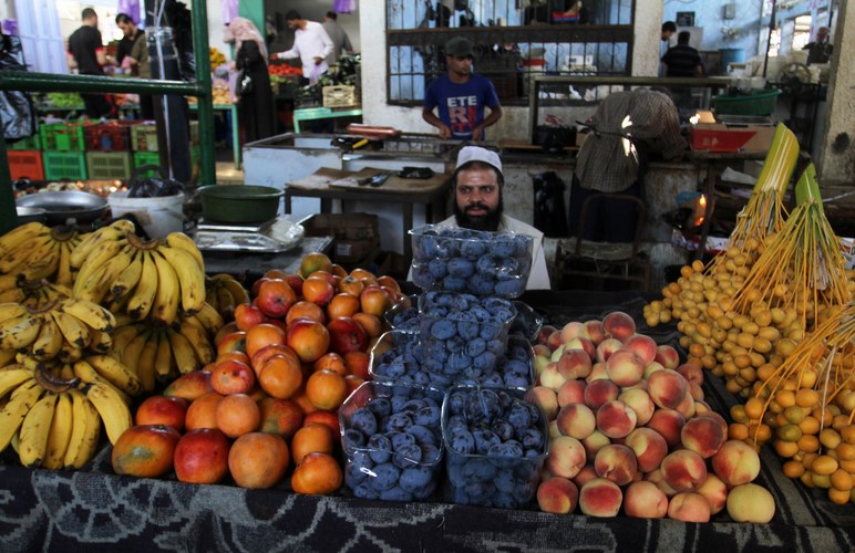 رفح.. مشاهد تنبض بالحياة