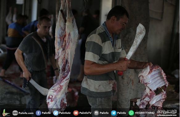 غزة.. دماء الأضاحي تزين العيد