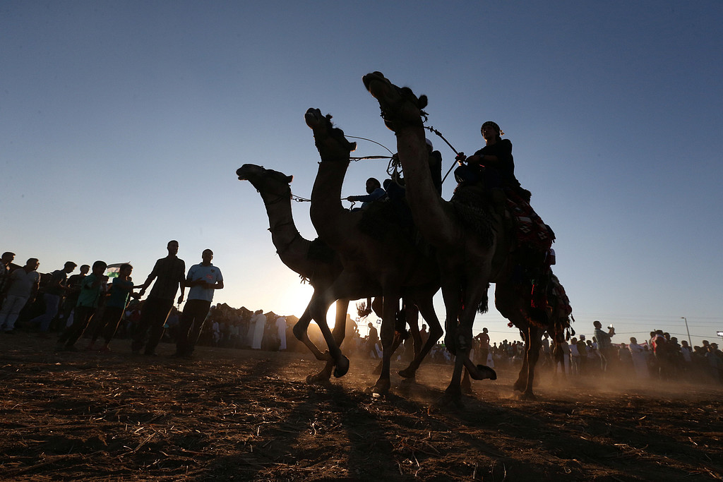قبيلة الترابين في ديرالبلح تقيم مهرجانا تراثيا بالعيد