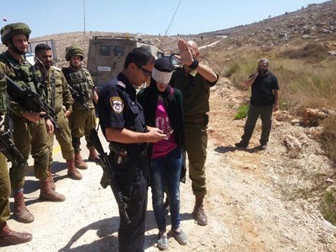 الاحتلال يعتقل فتاة بزعم محاولتها تنفيذ عملية طعن قرب نابلس