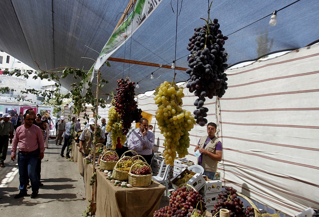 مهرجان العنب الفلسطيني في قرية حلحول قرب مدينة الخليل
