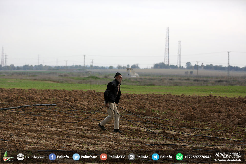 قوات الاحتلال تطلق الرصاص على المزارعين شرق خان يونس