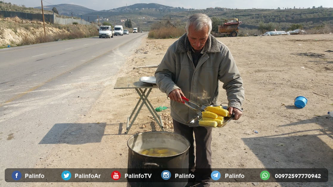 الحاج أبو محمد.. ستيني آثر بيع الذُرة  على التفريط بأرضه
