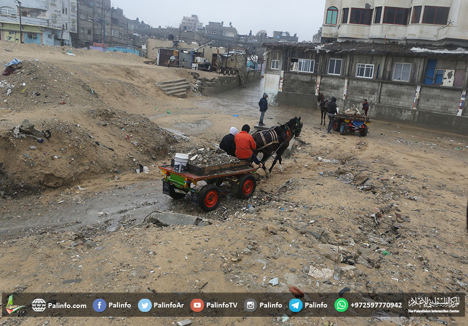 عمال فلسطينيون يجمعون الحجارة من شواطئ غزة لبيعها