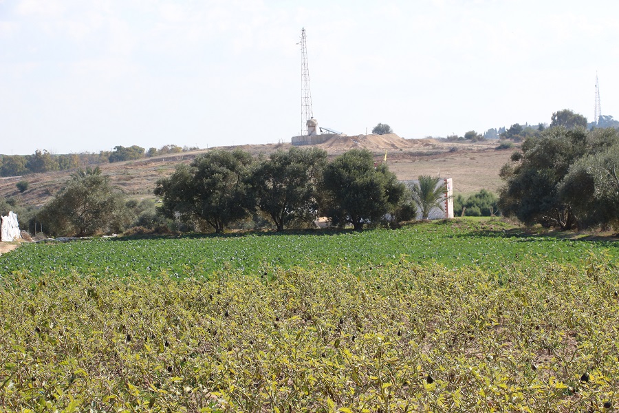 مركز حقوقي: إسرائيل ترش أراضي غزة الحدودية بمبيدات خطيرة