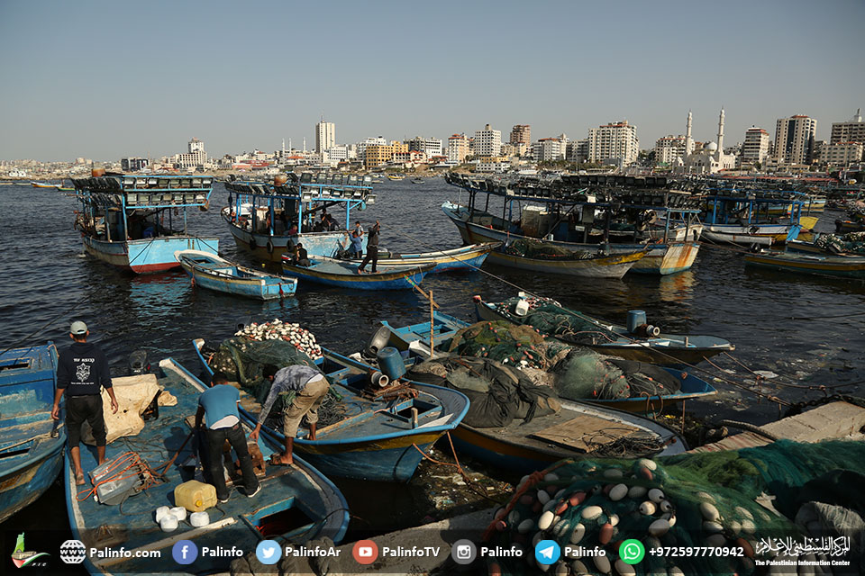 إعادة تشغيل قطاع الصيد في غزة