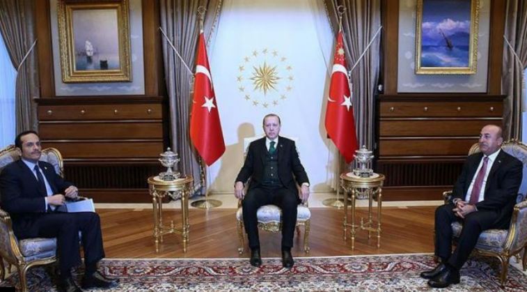 وزير الخارجية القطري يلتقي أردوغان بأنقرة