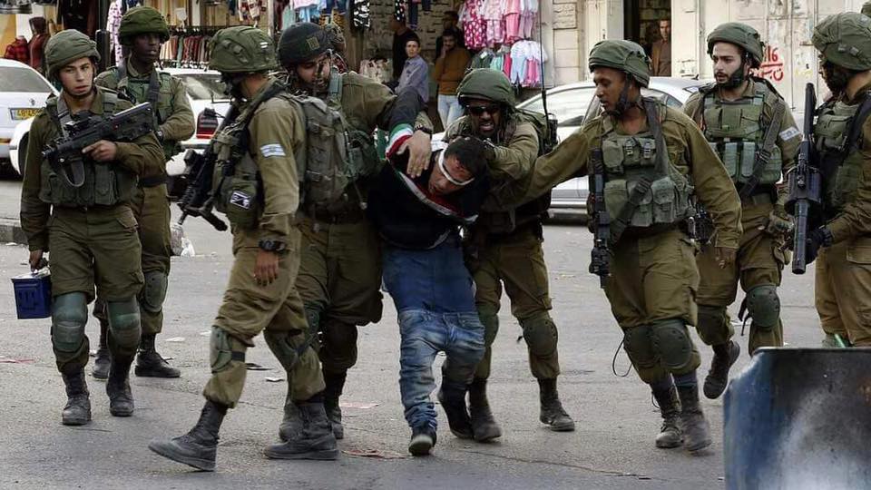الاحتلال يعتقل فتى ويعتدي على مسنّ بالخليل