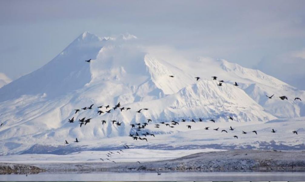 التغير المناخي يزيد مستويات تساقط الثلوج بألاسكا