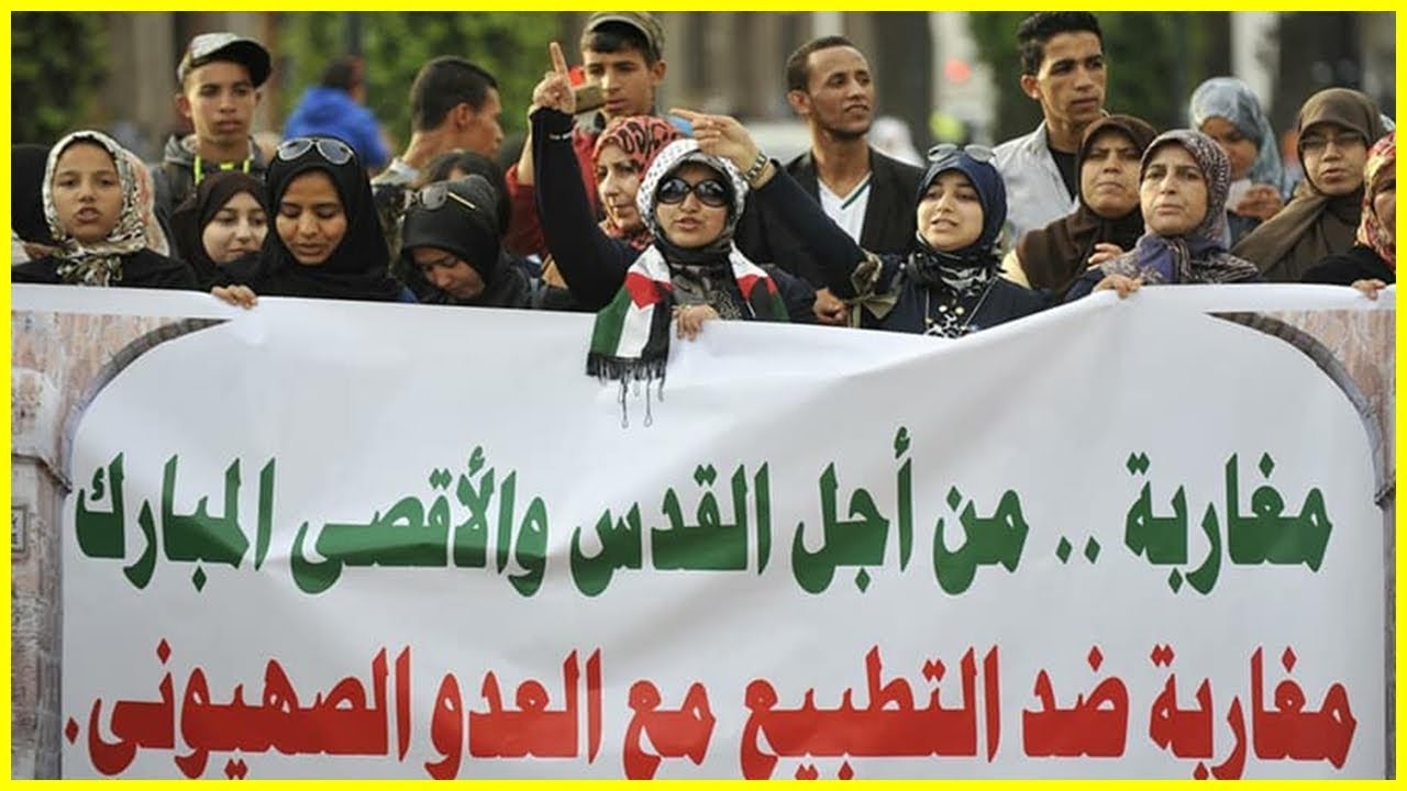مساعدات مغربية لفلسطين تحط بمصر في طريقها إلى غزة