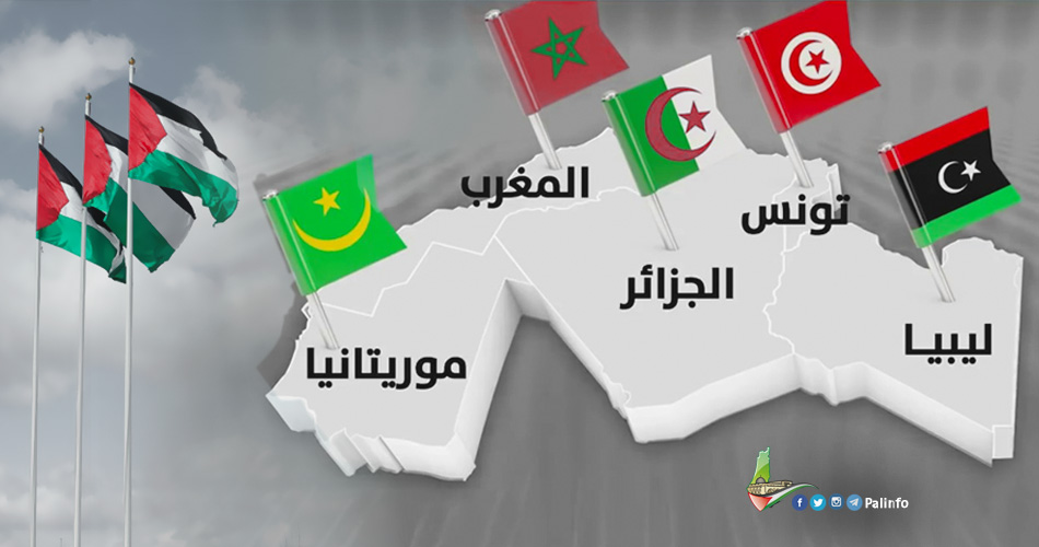 المغرب العربي وفلسطين.. مرتكزات العلاقة والدور المتجدد