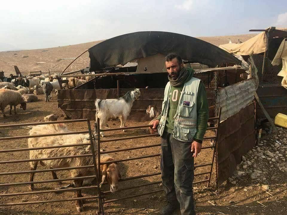 الماشية بالضفة الغربية…تناقص مستمر بسبب الاحتلال