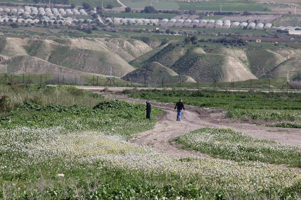 إخطارات صهيونية بوقف بناء منشآت فلسطينية في الأغوار والضفة