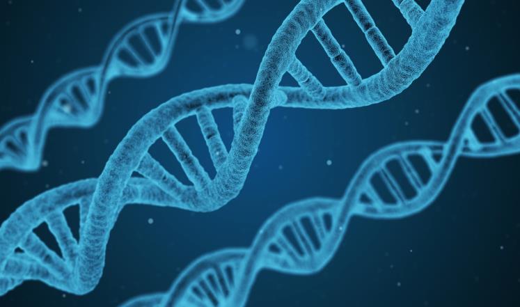 العلماء يثبتون إمكانية بناء حاسوب دي أن أي