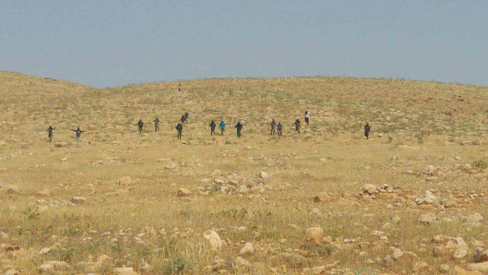 عشرات المستوطنين يقتحمون أراضي في الأغوار ويطردون الرعاة