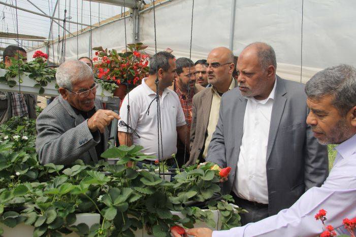 الزراعة تطلق حملة تشجير جديدة في قطاع غزة