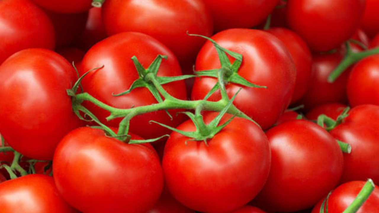 دراسة: الطماطم تبطئ خلايا سرطان المعدة