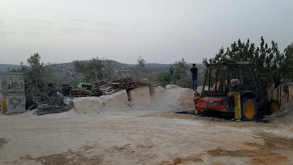 مستوطنون يكسرون 50 شتلة زيتون في الخضر غرب بيت لحم