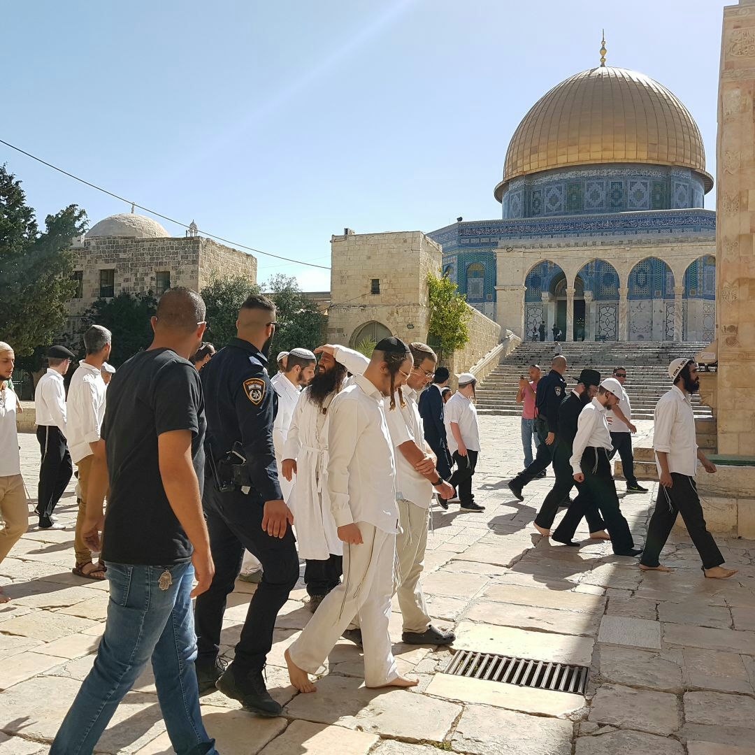 112 مستوطناً صهيونياً يقتحمون باحات المسجد الأقصى