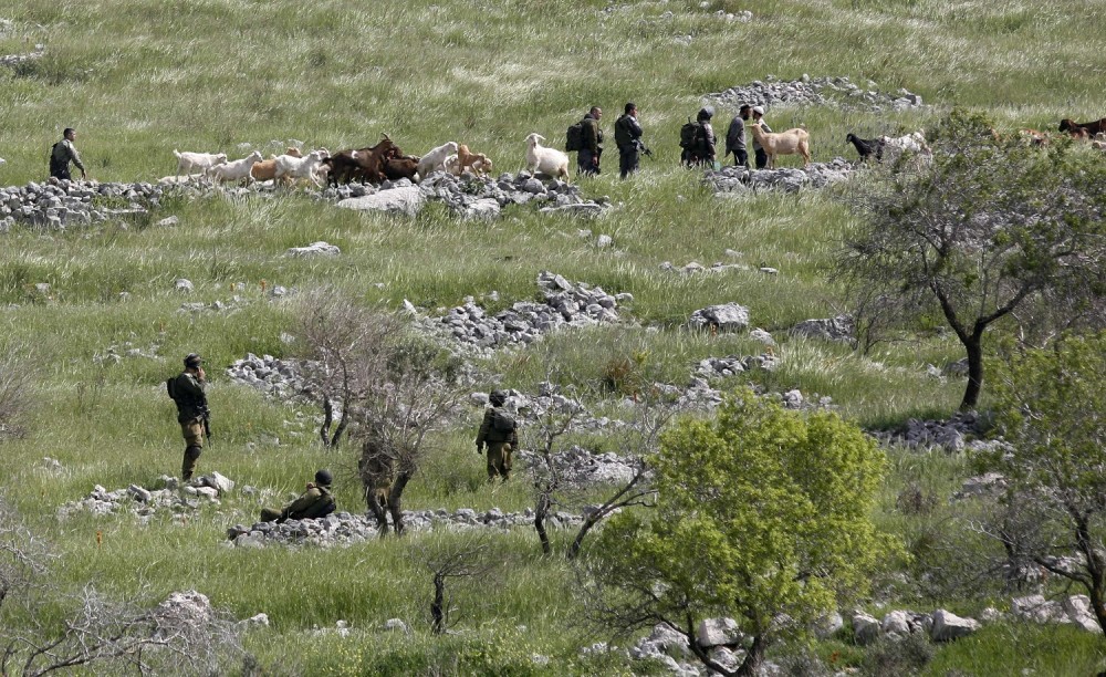 الاحتلال يستولي على أراضٍ في بلدة الخضر جنوب بيت لحم