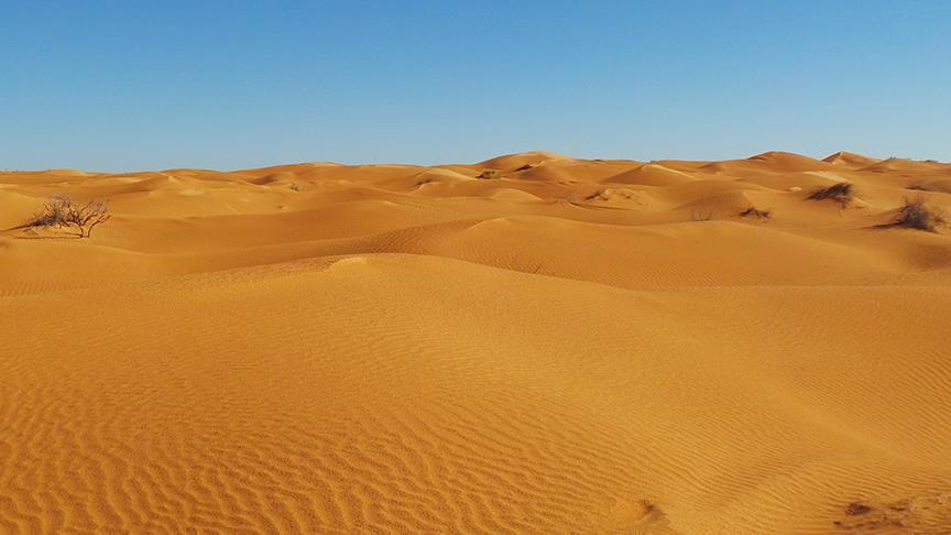 موت 44 مهاجرًا عطشًا في صحراء النيجر