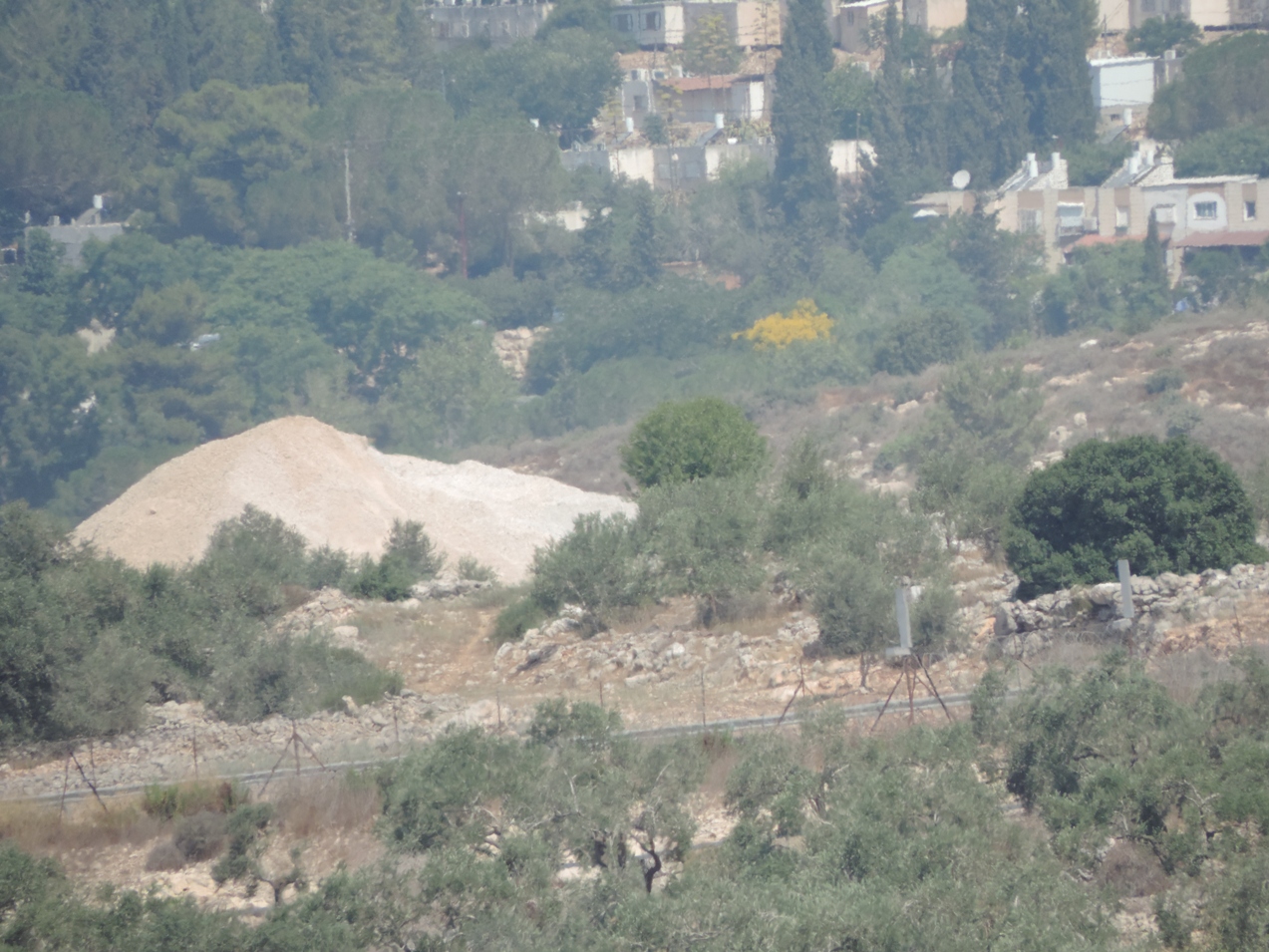 الاحتلال يستولي على حجارة أثرية شمال الخليل