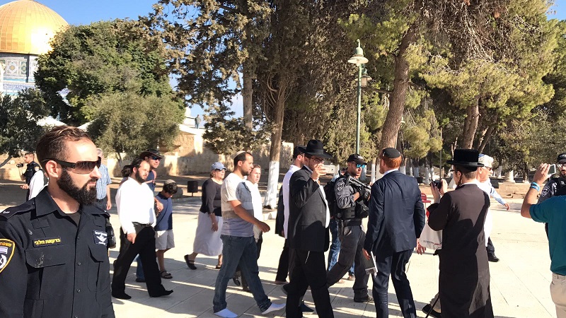 الاحتلال يعتقل موظفا من المسجد الأقصى