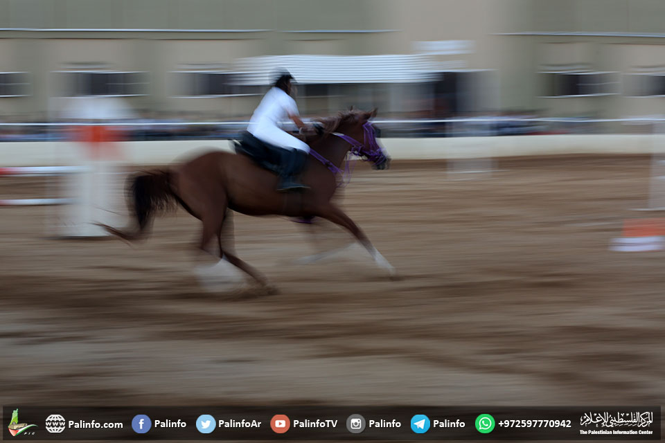 فرسان الأقصى.. مسابقة للفروسية في مدينة غزة