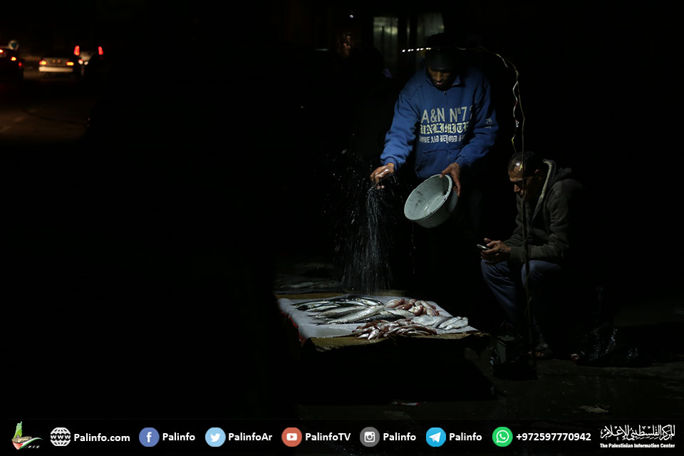 صيادون يبيعون السمك في مدينة غزة