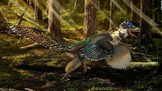اكتشاف ديناصور في الصين عاش قبل 161 مليون سنة
