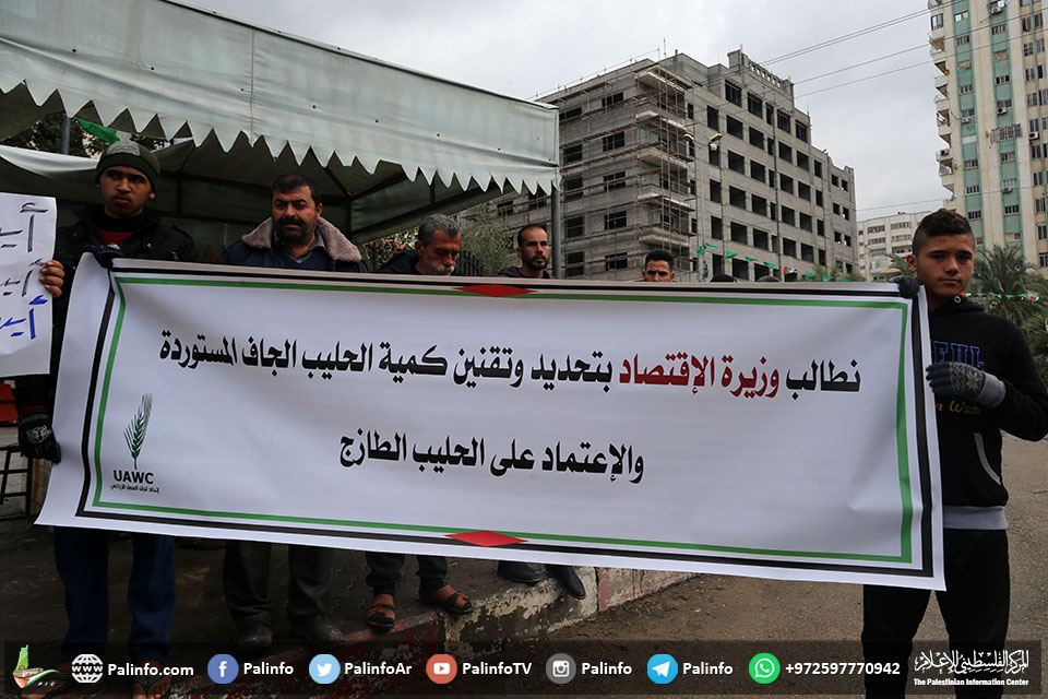 أصحاب مزارع الأبقار ومصانع الألبان يدقون ناقوس الخطر بغزة!