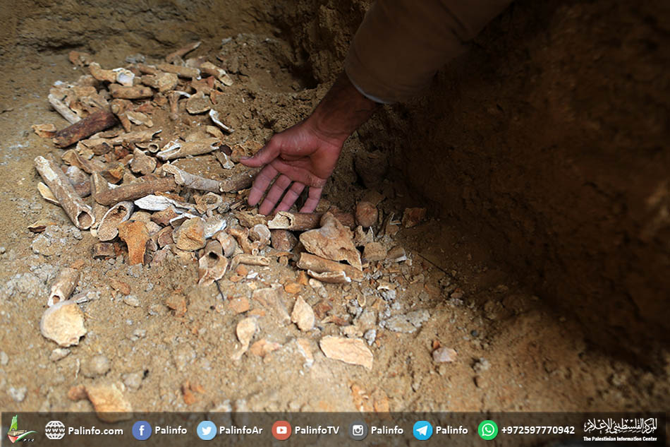 فلسطيني يعثر على مقبرة أثرية تعود للحقبة الرومانية بمنزله في بيت حانون