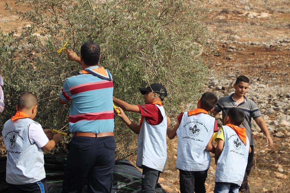 يوم عمل تطوعي لقطف ثمار الزيتون في قريتين برام الله