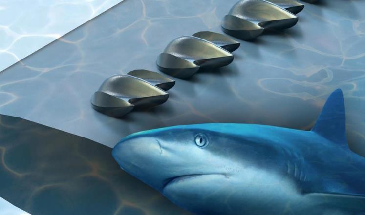 كيف يمكن لجلد القرش أن يزيد سرعة الطيران؟