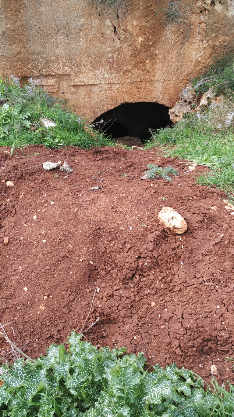 مجهولون ينبشون قرية قرقش الأثرية غرب سلفيت