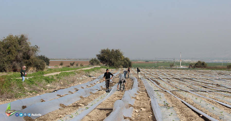 إسرائيل تغرق مئات الدونمات الزراعية شرقي غزة