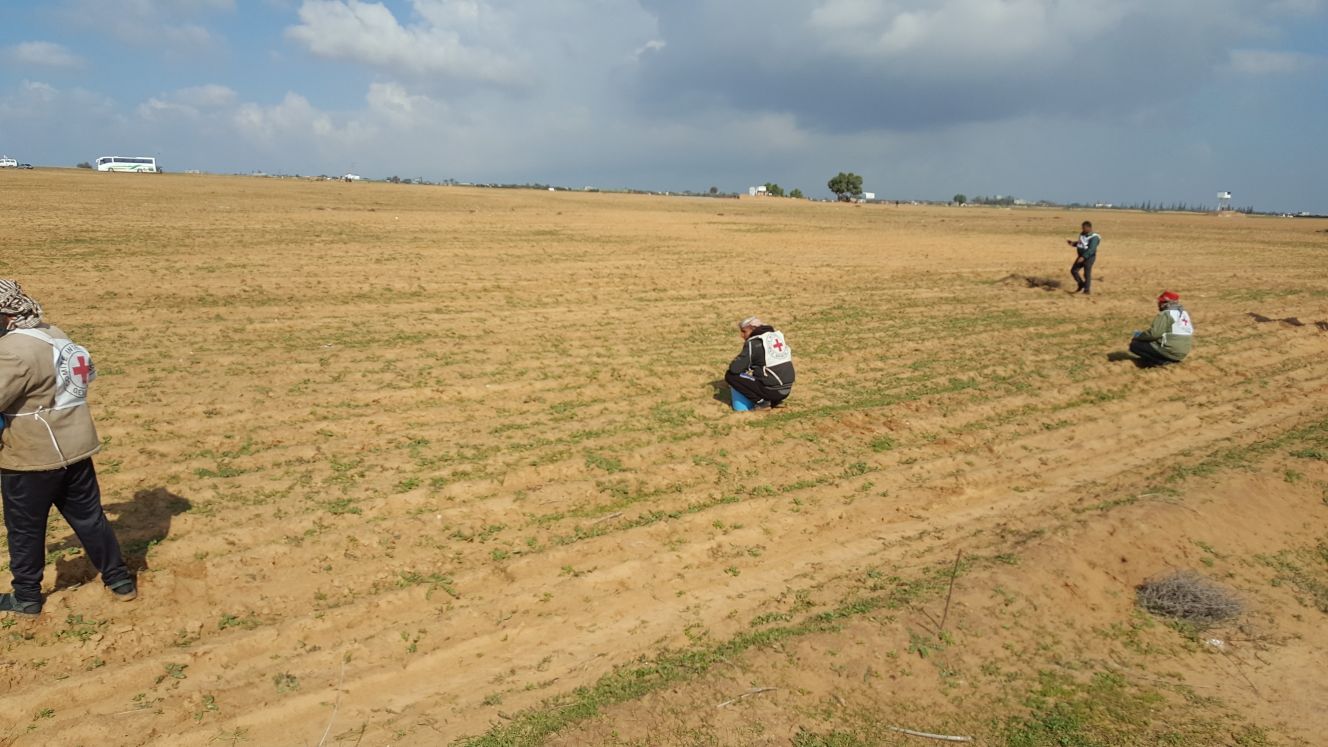 مزارعو رفح يحتضنون أراضيهم الحدودية بعد حرمان دام  12 عاماً